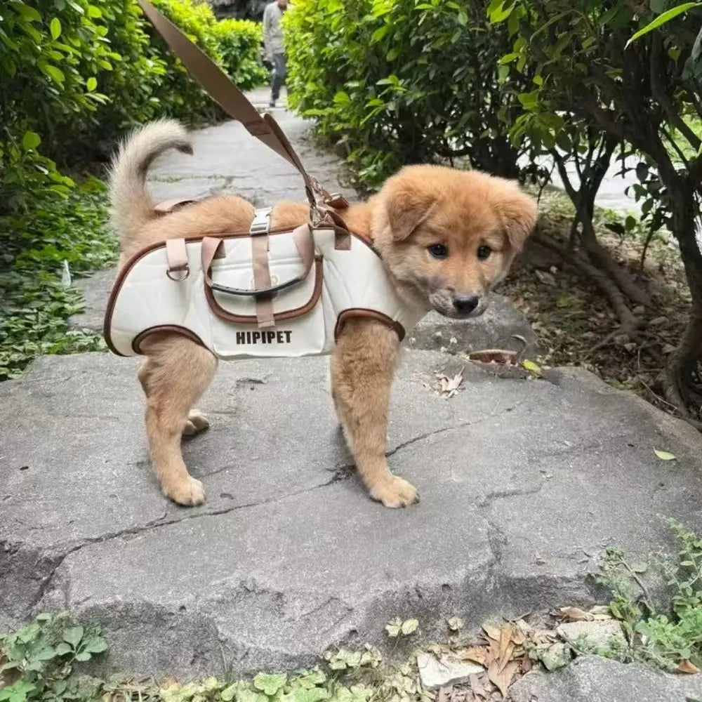 Dog Carrier Backpack