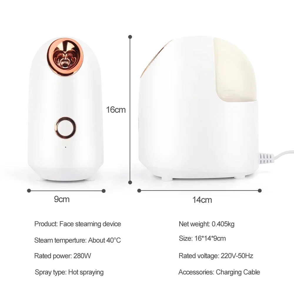 Amazing Face Steamer